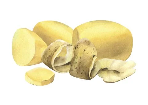 White potatoes whole, half, cut, peeled and wedges. Watercolor hand drawn Stock Illustration