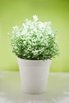 White pots Stock Photos