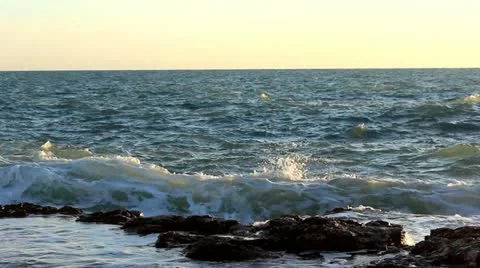 White power Stock Footage 20586995