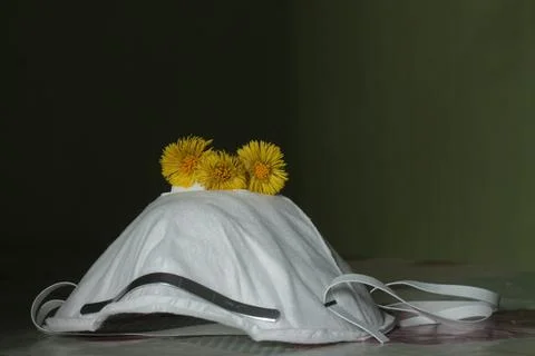 White protective mask on a dark background. Yellow flowers on a protective mask. Stock Photos
