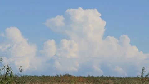 White puffy clouds drifting over a green meadow 库存影片 343861619