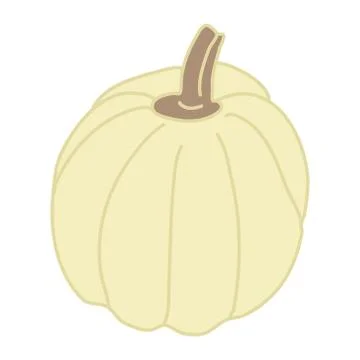 White pumpkin in cartoon flat style. Stock Illustration