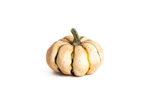 White pumpkin isolated on a white background Stock Illustration