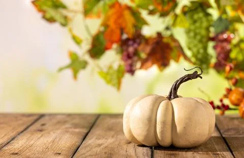 White pumpkin on rustic wooden table with blurred grapevine leaves for autu.. Fotos Stock
