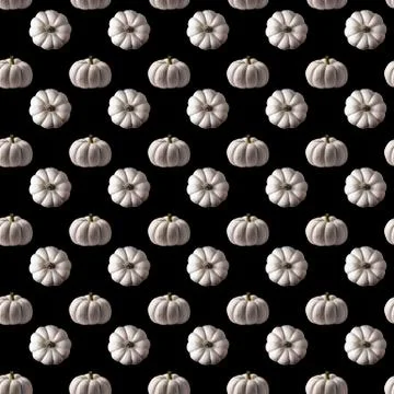 White pumpkin seamless pattern on black background Stock Photos