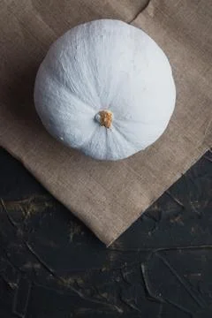 White pumpkin on the table top view. Autumn is a minimal concept Stock Photos