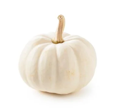 White pumpkin on a white background Stock Photos