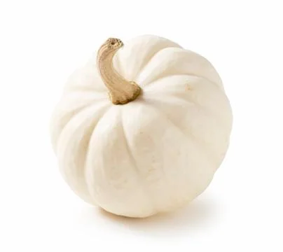 White pumpkin on a white background 写真素材