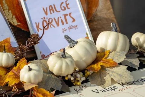White Pumpkins And Fall Leaves Display With Sign Stock Photos