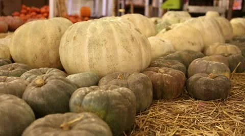 White Pumpkins 库存影片 12285064