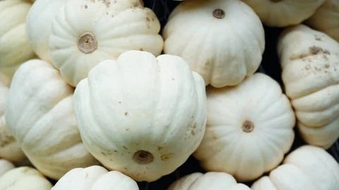 White pumpkins on a pile Stock Footage 118228890