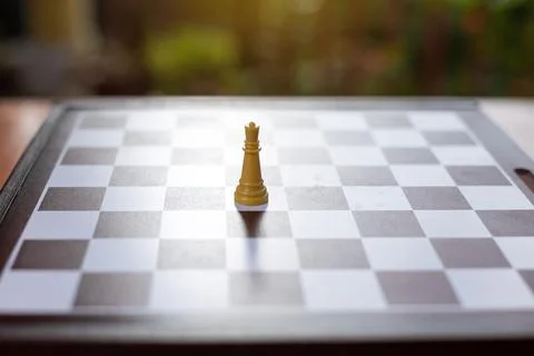The white queen alone on the board Stock Photos