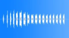 White-quilled Bustard callingSound Effect