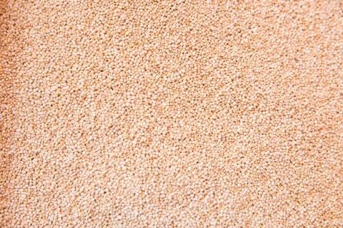 White quinoa Fotos Stock