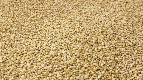 White quinoa uncooked seeds falling down with circle rotation close up Stock Footage 235660922
