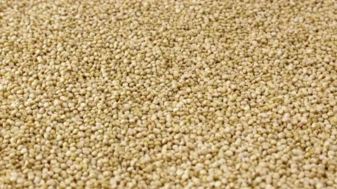 White quinoa uncooked seeds texture rotation close up Stock Footage 234780958