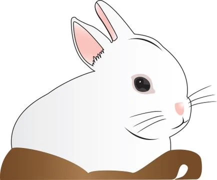 White rabbit in basket Stock Illustration