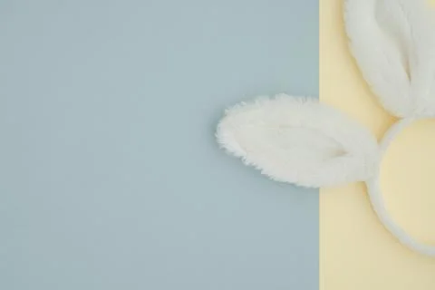 White rabbit ears as a symbol of Easter on a yellow-blue background with space Stock Photos