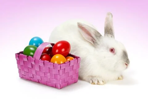 White rabbit with easter eggs in basket Stock Photos
