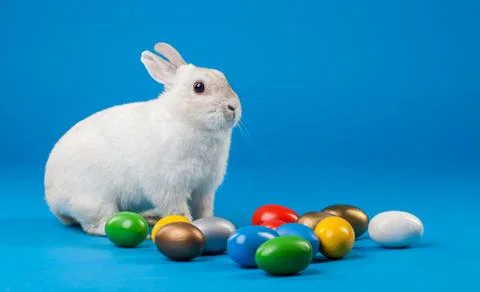 White rabbit with Easter eggs isolated Stock Photos