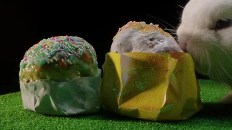 White rabbit explores topped cupcakes with shiny icing and sprinkles Video stock 330477809