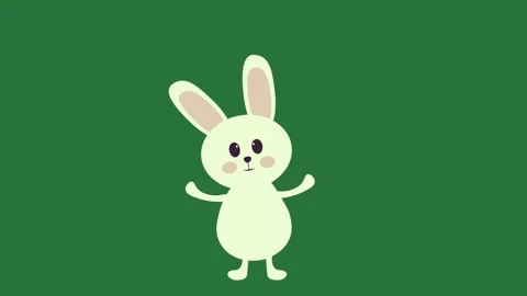 A white rabbit on green background and isolated isolated on green screen Stock Footage 336892097