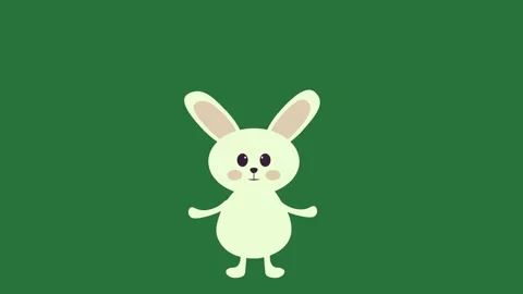 A white rabbit on green background and isolated isolated on green screen Stock Footage 336892098