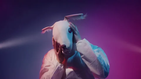 White rabbit hallucinations, man in a weird mask. Stock Footage 148488934