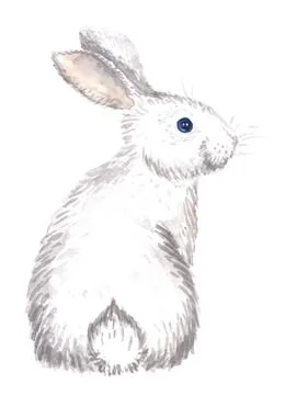 White rabbit isolated Stock Illustration