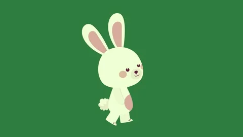 A white rabbit running on green background and isolated isolated on green Stock Footage 336892102