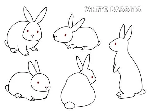 A white rabbit takes five different poses. Illustrazione stock