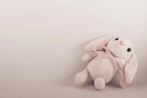 White rabbit on a white background Fotos de archivo