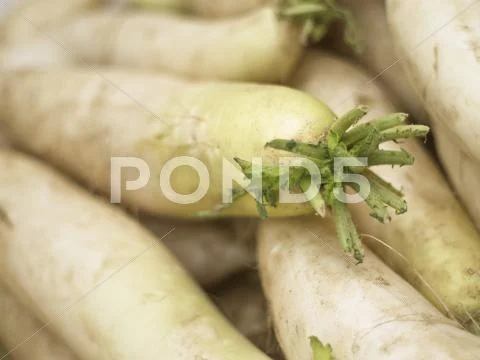 White radish Stock Photos