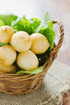 White radish Stock Photos