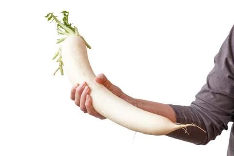 White radish Foto stock