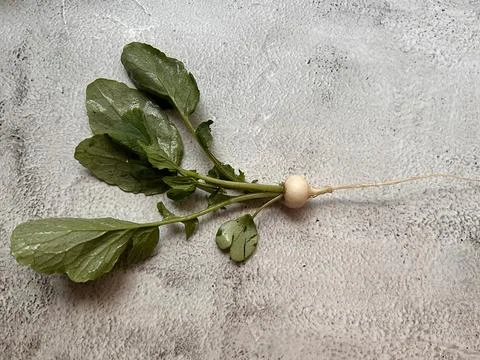 White radish Stock Photos