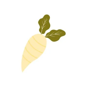 White radish vector design template illustration 스톡 일러스트