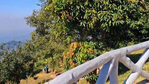 White railing on a scenic outdoor pathway with trees and a mountain view Vídeo Stock 331658309