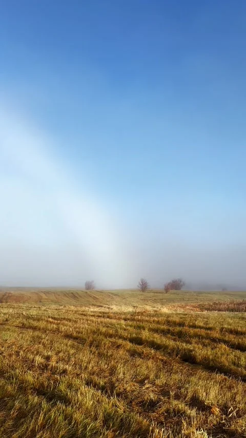 White Rainbow Fogbow Ghost Rainbow in Autumn Stock Footage 252946799
