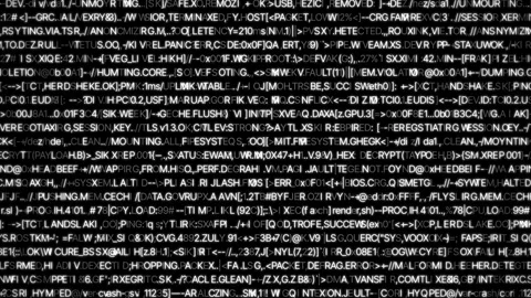 White Random Digital Text Code Programming 4K Seamless Loop Stock-Footage 336660019