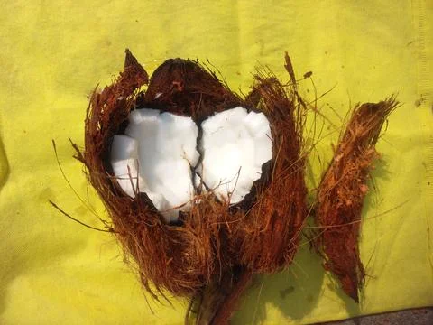 White Raw coconut pieces Stock Photos