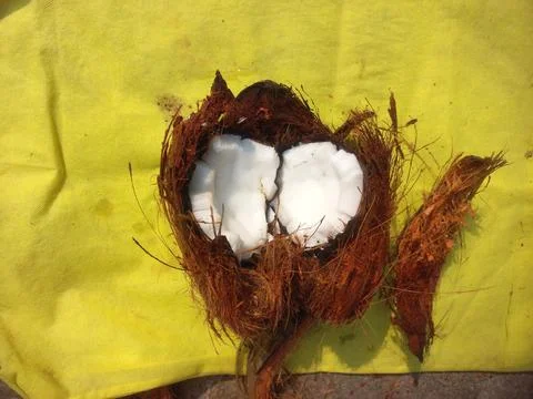 White Raw coconut pieces Stock Photos