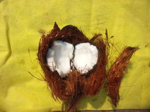White Raw coconut pieces Stock Photos