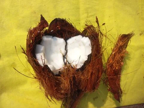 White Raw coconut pieces Stock Photos