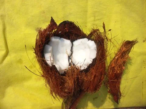White Raw coconut pieces Stock Photos