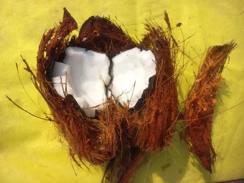 White Raw coconut pieces Stock Photos