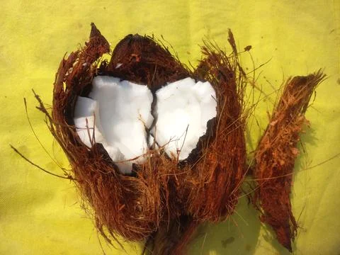 White Raw coconut pieces Stock Photos