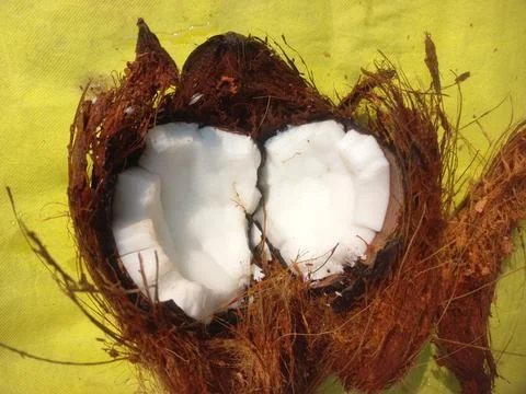 White Raw coconut pieces Stock Photos