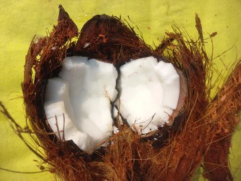 White Raw coconut pieces Stock Photos