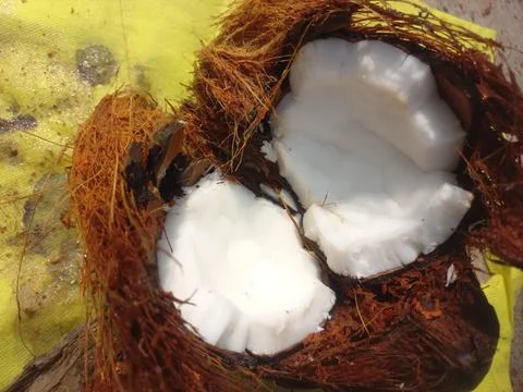 White Raw coconut pieces Stock Photos